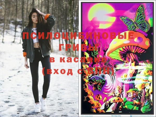 ECSTASY Армянск
