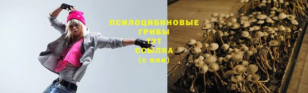 каннабис Баксан