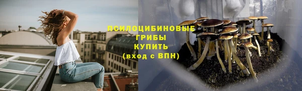 ECSTASY Армянск