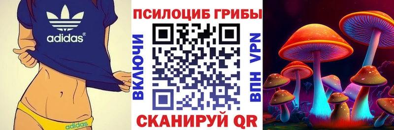 KRAKEN tor  Барыш  Галлюциногенные грибы Cubensis 